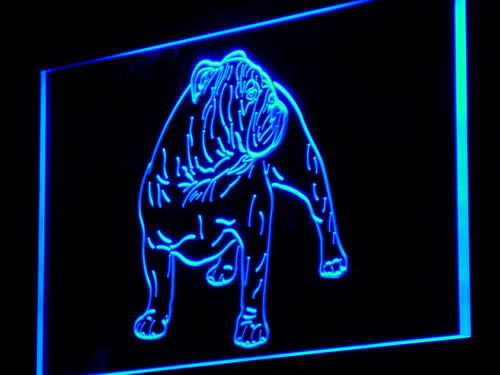 Bulldog Dog Shop Pet Display New Neon Light Sign